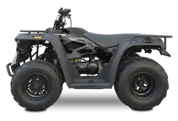 LINHAI ATV M150 cc 2X4 LASTE